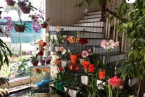 Nhà đẹp xuất sắc của Bích Phương đang vướng lùm xùm hát nhép