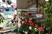 Nhà đẹp xuất sắc của Bích Phương đang vướng lùm xùm hát nhép