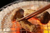 Thị trường Hà Nội lại "sốt" nấm nhập khẩu giá nửa cây vàng/kg