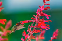 Sinh vào 4 ngày Âm lịch này, nửa đời trước vất vả, nửa đời sau “nằm duỗi mà ăn”