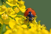 Cuối tháng 4 đầu tháng 5, 3 con giáp làm nên chuyện lớn 