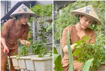 Mỏi mắt ngắm vườn rau xanh mướt giữa đại dịch của Nhật Kim Anh