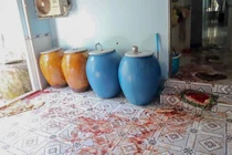 Công an khám nhà, em gái bị can livestream xuyên tạc, bôi nhọ người thi hành công vụ