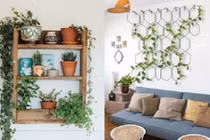 Giàn dây leo trong nhà đẹp mê ly ai cũng “thèm thuồng”