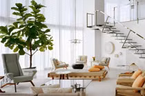 4 xu hướng trang trí nhà cực lạ sẽ lên ngôi 2018 