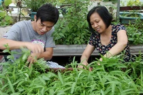 “Soái ca” Hà thành chiều vợ, phá mái tôn để trồng rau, nuôi gà 