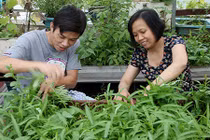 “Soái ca” Hà thành chiều vợ, phá mái tôn để trồng rau, nuôi gà 