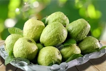 Ăn ổi sao cho đúng để tốt cho sức khỏe, tránh gây hại