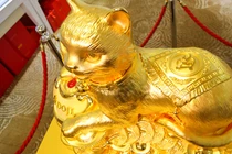 Cận cảnh tượng mèo vàng khổng lồ 48 kg gây sốt ngày Thần Tài