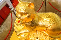 Cận cảnh tượng mèo vàng khổng lồ 48 kg gây sốt ngày Thần Tài