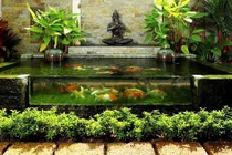 5 tiểu cảnh trong nhà được ưa chuộng nhất tại Việt Nam