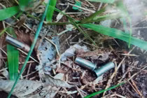 Vì đâu mà huynh đệ tương tàn, anh truy sát cả gia đình em? 