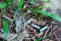 Vì đâu mà huynh đệ tương tàn, anh truy sát cả gia đình em? 