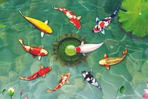 Gia chủ đang nghèo treo tranh này trong nhà: Đảo ngược tình thế, nhanh chóng giàu có