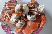 Sự thật về cua biển siêu rẻ