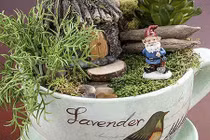 Đã mắt những khu vườn mini siêu đẹp trong tách trà