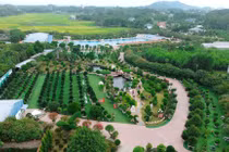 Vườn cây cảnh “ngốn cả núi tiền” của đại gia Thái Nguyên 