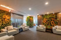 Ảnh văn phòng làm việc Hà Nội xanh mướt không ai ngờ