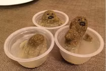 Hí hửng làm món bánh trên mạng, sản phẩm khiến cô nàng “ngã ngửa”