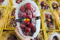 Ngã ngửa sự thật về nho Ruby Roman rẻ giật mình, bán tràn chợ mạng