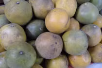 Thực hư bưởi Diễn được rao bán chỉ 2.000 đồng/quả