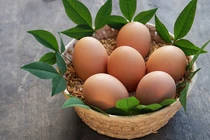 Trứng gà Nhật Bản hơn 100.000 đồng/quả có gì đặc biệt?