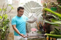 Biệt thự 700m2 của “ông vua màn bạc Việt” thập niên 90