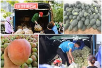 Hoa quả đặc sản vào mùa giá mềm ở Hà Nội hút khách giữa đại dịch