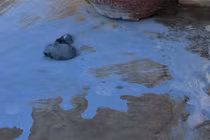 Sân nhà bí thư xã ở Khánh Hòa bị tạt sơn trộn mắm tôm