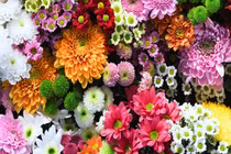 Cuối tháng 4 Âm lịch, 3 con giáp có tài lộc vượng phát, rủng rỉnh tiền bạc