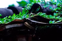 3 nơi này trong nhà càng đầy đủ thì càng may mắn! 