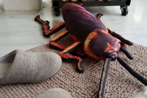 Trang trại nuôi 6 tỷ con gián: Tưởng kinh dị mà hái ra tiền