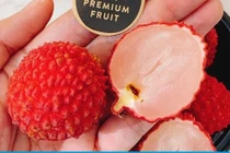 Vải không hạt Nhật Bản 100.000 đồng/quả có gì đặc biệt?