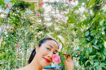 Khu vườn toàn hoa hồng quý trong biệt thự của Ốc Thanh Vân