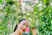 Khu vườn toàn hoa hồng quý trong biệt thự của Ốc Thanh Vân