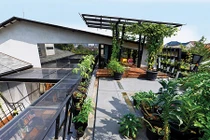 Độc đáo ngôi nhà xanh mướt mắt giữa phố phường đô thị