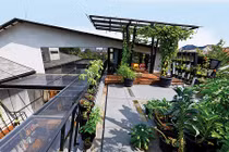 Độc đáo ngôi nhà xanh mướt mắt giữa phố phường đô thị