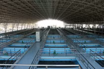 Thâu tóm nhà máy nước sông Đà, đại gia 8x Nguyễn Văn Tuấn đút túi "lãi khủng"