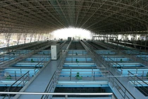 Thâu tóm nhà máy nước sông Đà, đại gia 8x Nguyễn Văn Tuấn đút túi "lãi khủng"