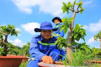 Khó tin: Từ bãi rác ô nhiễm thành vườn cây công nghệ cao 