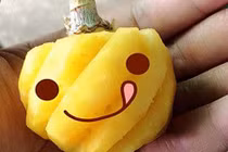 Những giống dứa lạ khiến bà nội trợ Việt mê mệt 