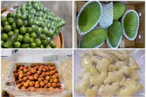 Sấu, gừng, xoài xanh lên kệ siêu thị Úc... giá cao "ngất ngưởng"