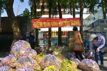 Giải cứu vải thiều Bắc Giang với giá 20.000 đồng/kg ở Hà Nội