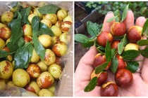 Hồng táo Trung Quốc tràn ngập thị trường Việt