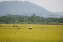 Chủ tịch xã tử vong trong tư thế treo cổ tại nhà riêng