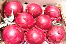 Cận cảnh thanh long ruột đỏ Đài Loan siêu đắt vẫn hút hàng