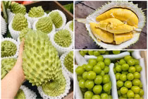 3 loại quả đắt đỏ bất ngờ thành hàng bình dân bán đầy chợ 