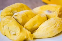 Tận mục sầu riêng lạ bị khuyến cáo không trồng