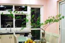 Chị em Hà thành rộ mốt mua cành lá nhập khẩu từ Nhật về cắm