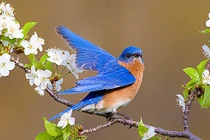 Ai sinh tháng Âm lịch này vận may không cạn, càng chăm chỉ, càng nhiều quý nhân